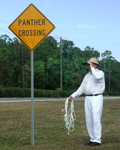 Panther Crossing 1- Photograph_18 X12 in_ 2008